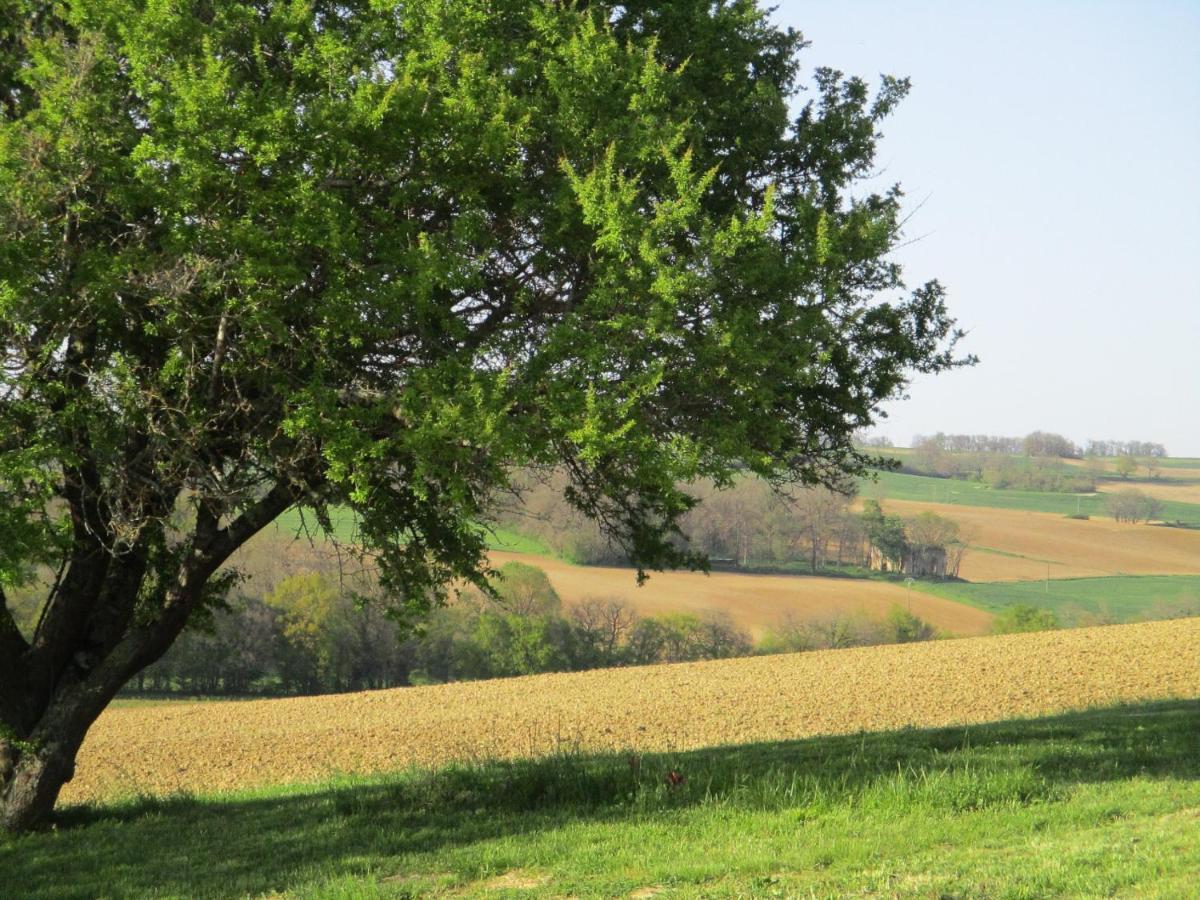 Willa Le Petit Bergeret En Gascogne Saint-Puy Zewnętrze zdjęcie