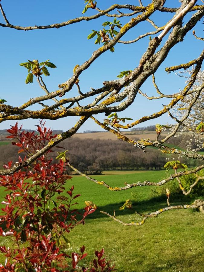 Willa Le Petit Bergeret En Gascogne Saint-Puy Zewnętrze zdjęcie